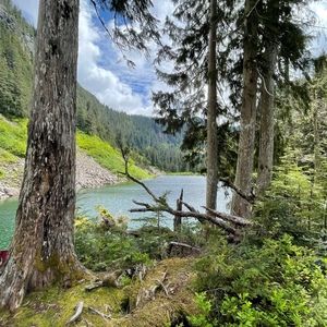 Meet your Posher, Oliver